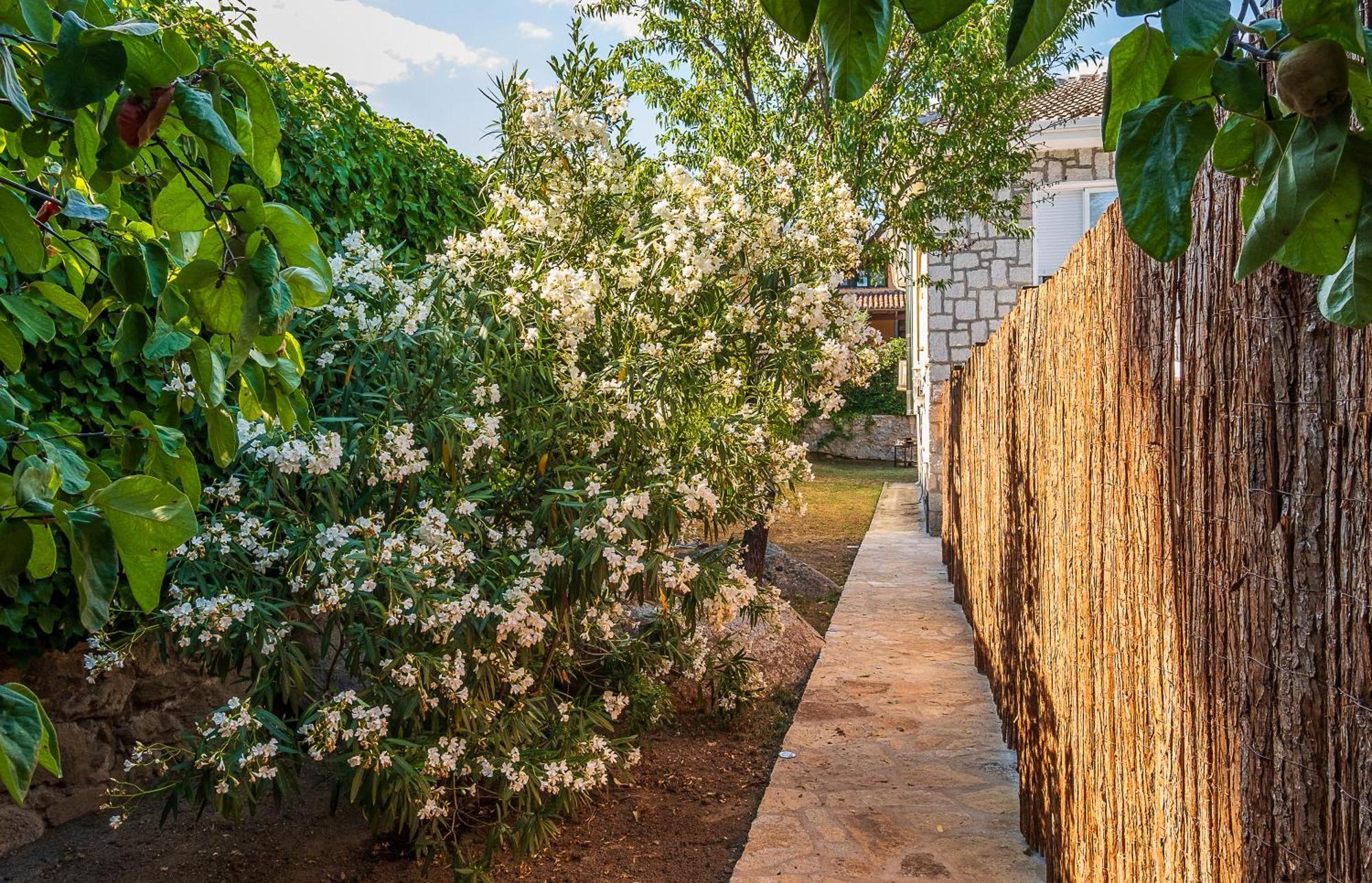 La Puerta Verde Матаелпино Екстериор снимка